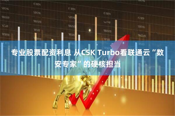 专业股票配资利息 从CSK Turbo看联通云“数安专家”的硬核担当