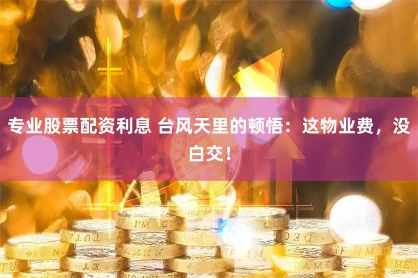 专业股票配资利息 台风天里的顿悟：这物业费，没白交！